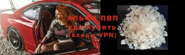 марки lsd Новозыбков