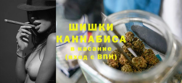 марки lsd Новозыбков