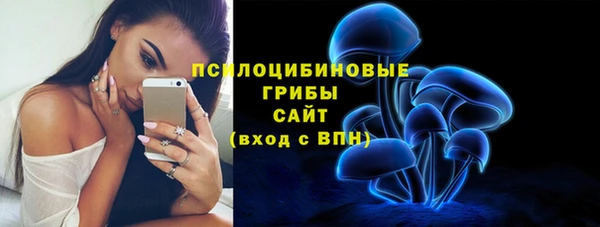 ешки Новокубанск