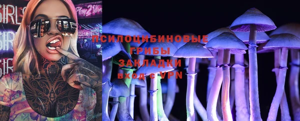 марки lsd Новозыбков
