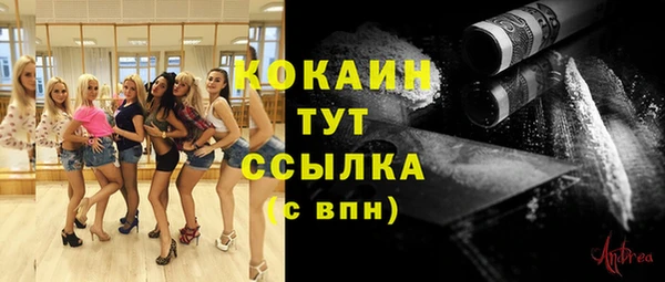 ешки Новокубанск