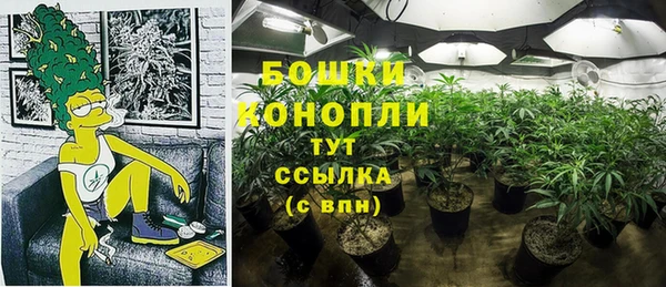 ешки Новокубанск