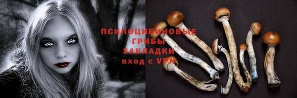 марки lsd Новозыбков