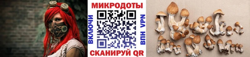 Галлюциногенные грибы Psilocybe  продажа наркотиков  кракен ССЫЛКА  Ступино 