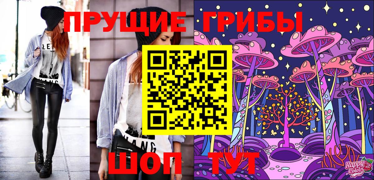 Галлюциногенные грибы Psilocybe  Вход с VPN  Ступино 