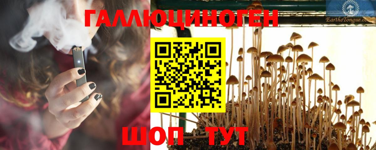 Галлюциногенные грибы Magic Shrooms  Ступино  Галлюциногенные грибы мицелий 